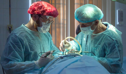 The website of royal melbourne hospital… post thumbnail image